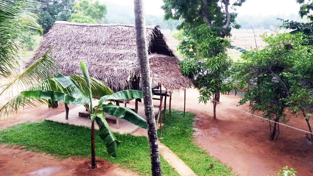 Zahrada ubytování Lakmini Lodge Sigiriya