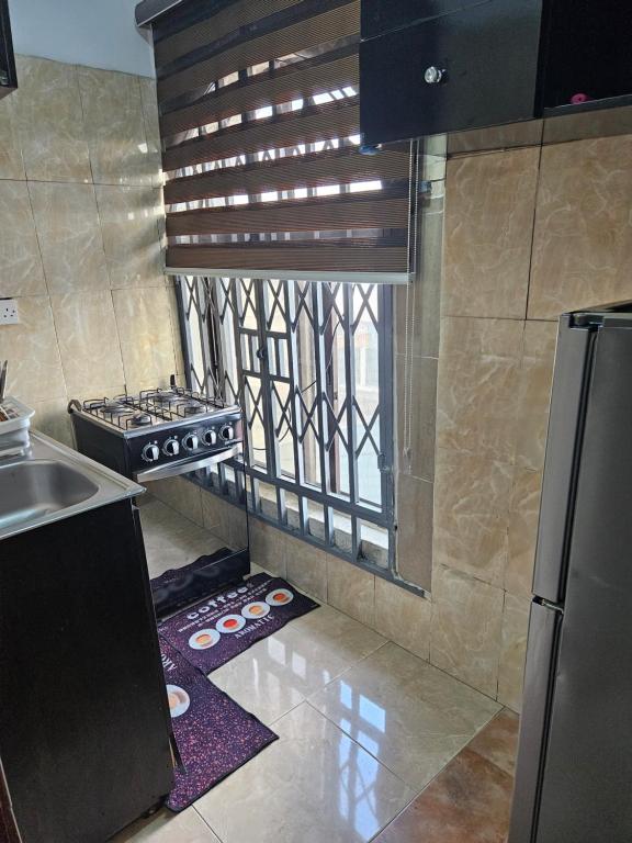 Kuchyň nebo kuchyňský kout v ubytování Pearl Homes