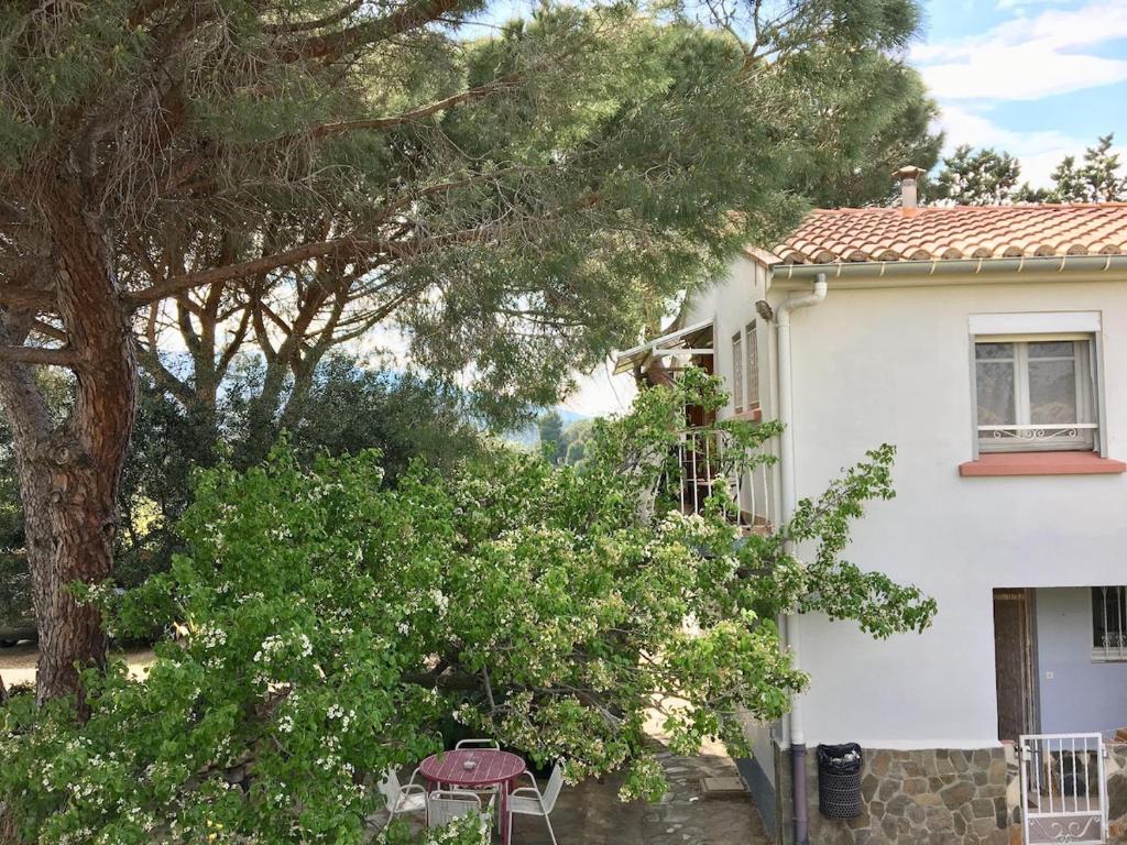 a white house with a tree in front of it at Les Meublés de la Corniche in Argelès-sur-Mer