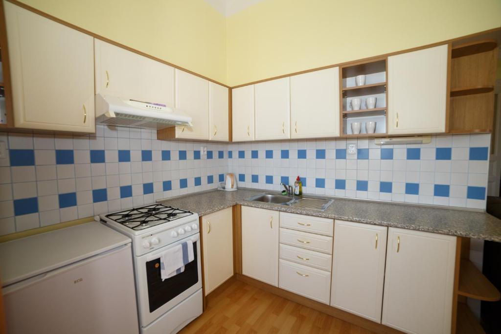 Kuchyň nebo kuchyňský kout v ubytování Chateau Diva