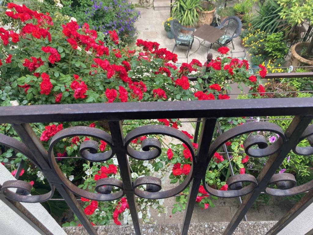 Zahrada ubytování La Maison des Augustins 4 stars Spa et Fitness