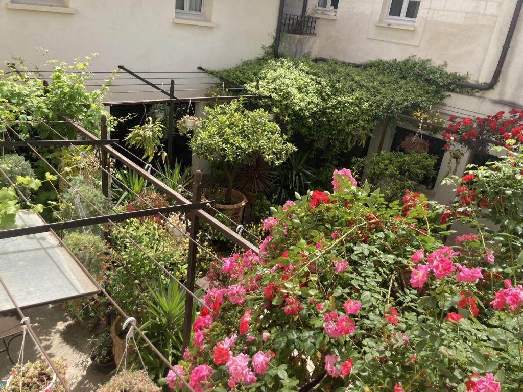 Zahrada ubytování La Maison des Augustins 4 stars Spa et Fitness