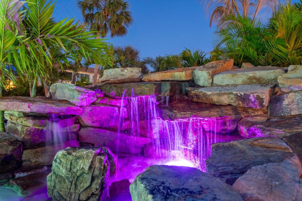 Zahrada ubytování Tropical Beach Resorts - Sarasota