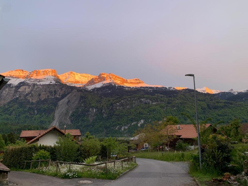 Příroda nedaleko apartmánu