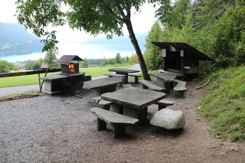 Příroda nedaleko apartmánu
