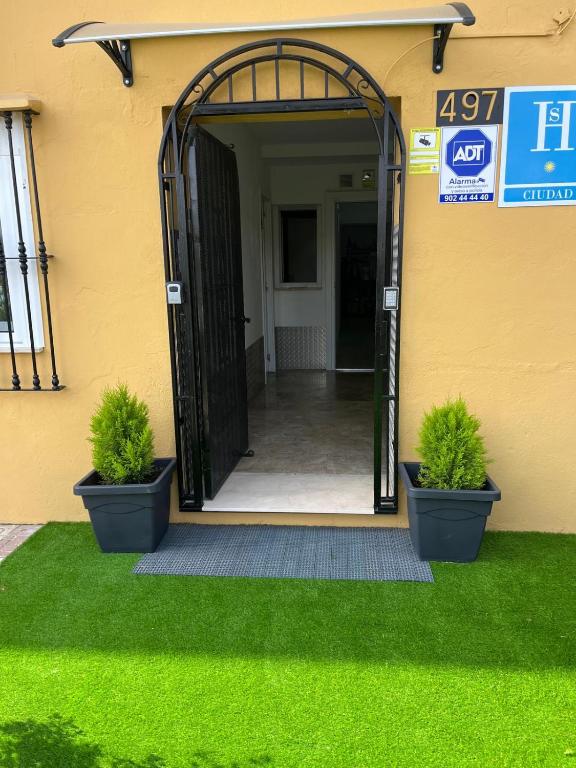 an entrance to a building with two potted plants at Hostal NV Airport in Málaga