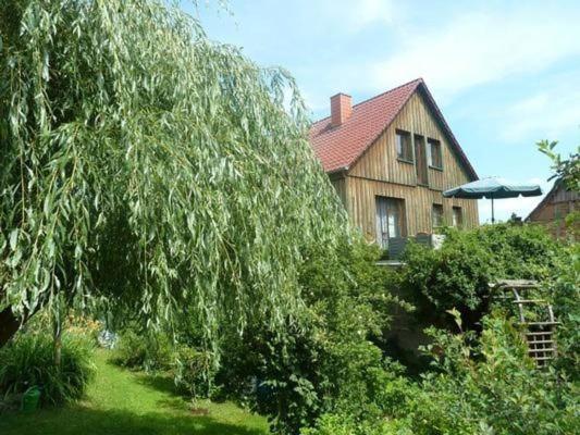 a large tree in front of a house with an umbrella at Ferienwohnung Lotti in Brotterode-Trusetal