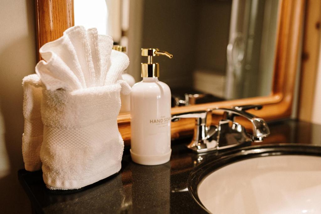 a bathroom sink with a bottle of soap and a towel at Albert's in Shelburne