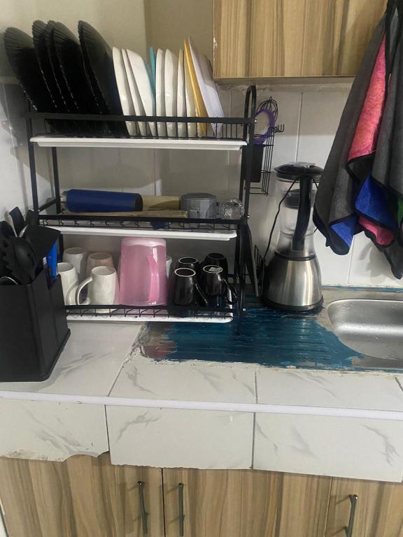 Kuchyň nebo kuchyňský kout v ubytování ASAT complex