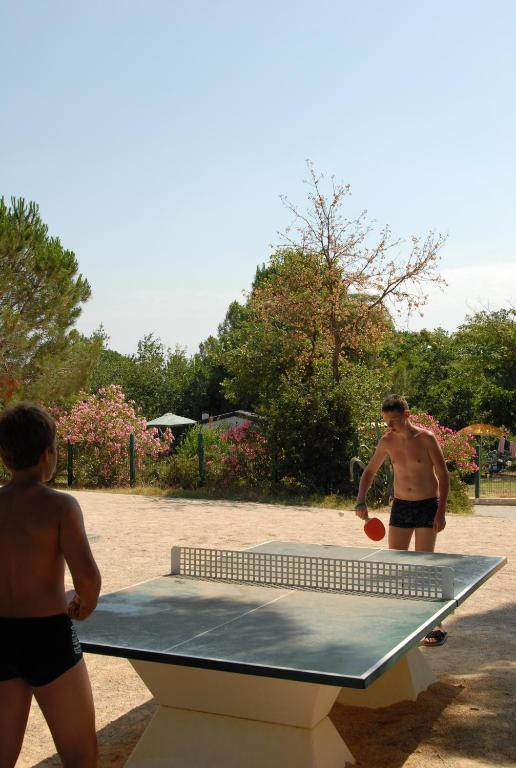 Stolní tenis v ubytování Camping des Alberes nebo okolí