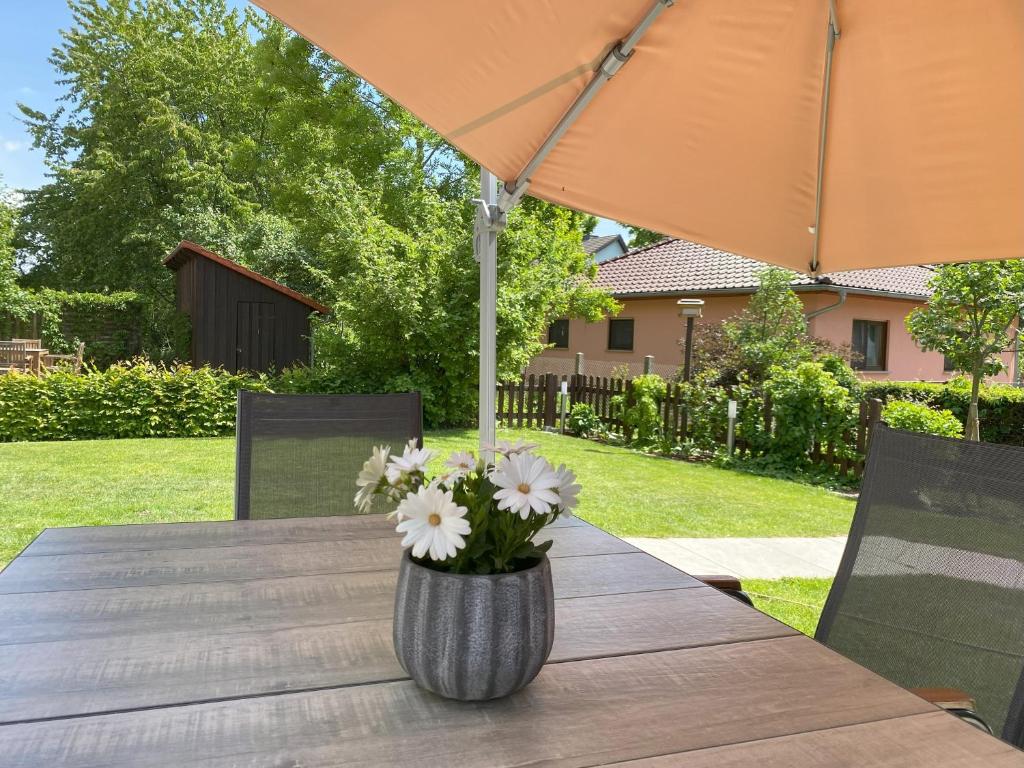 Zahrada ubytování Ferienhaus Igel