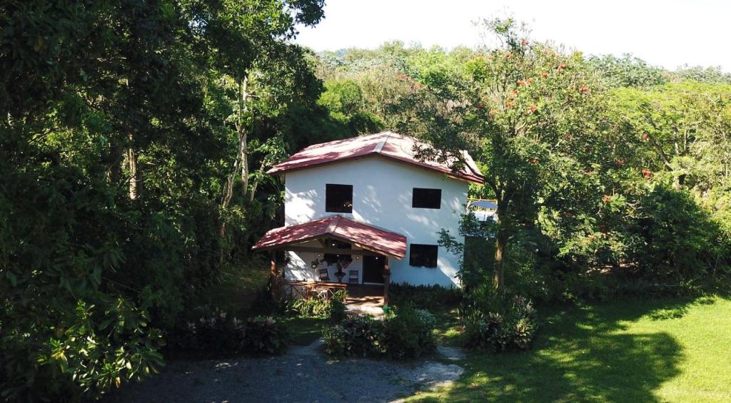 Zahrada ubytování Villa unter Palmen