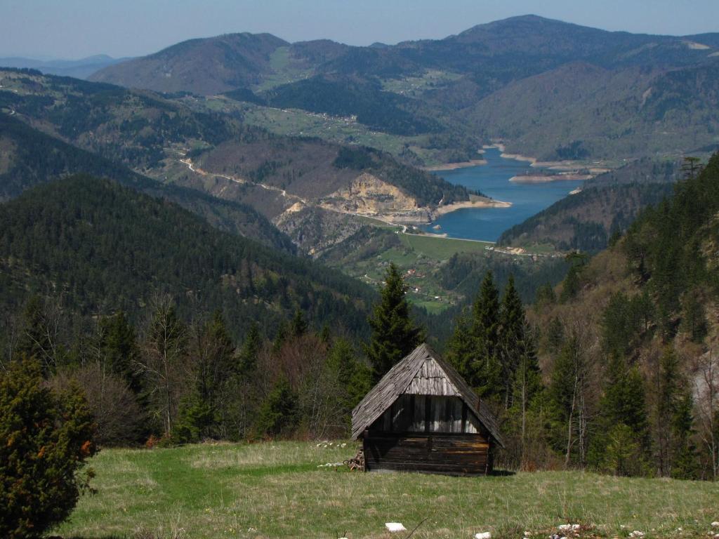 Příroda nedaleko vily