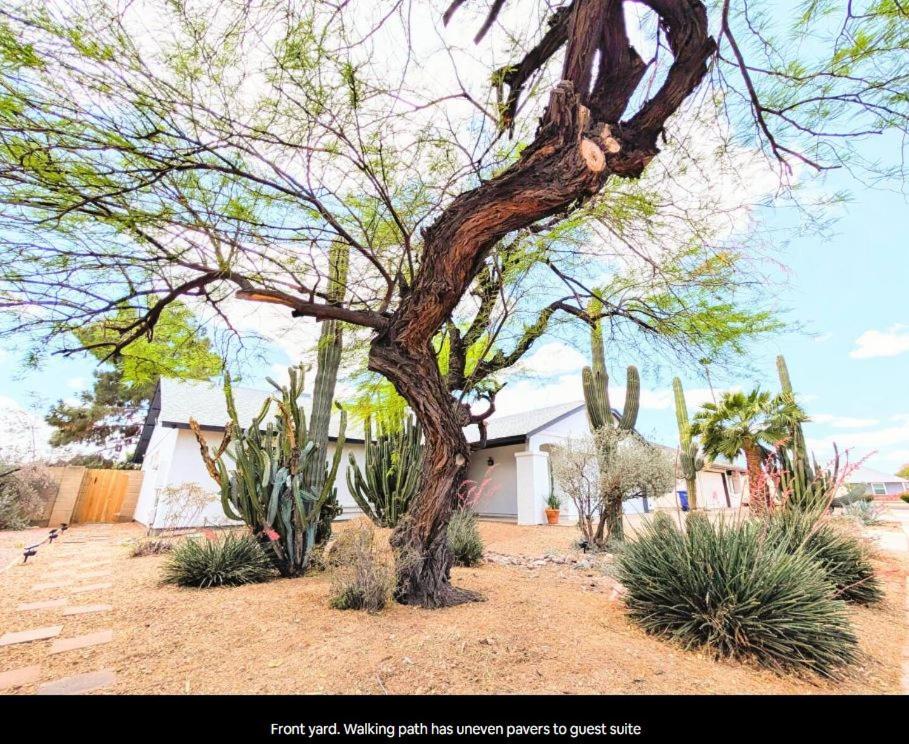 Fotografie z fotogalerie ubytování Cactus Guest Suite v destinaci Chandler
