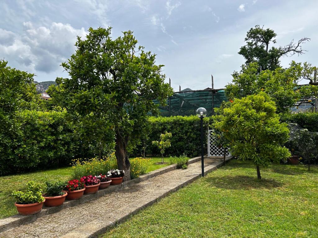 Zahrada ubytování Baia della Serenità