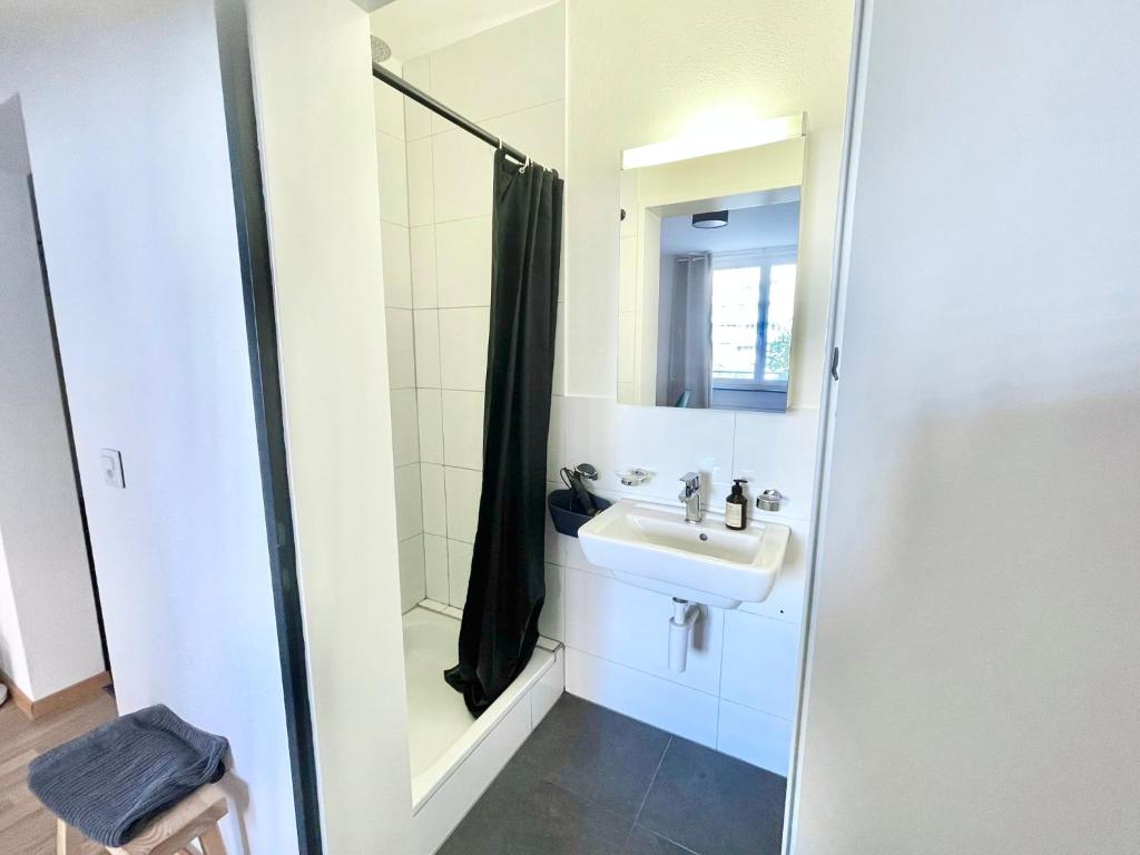 Central city apartment in Zurich! - Resim 6