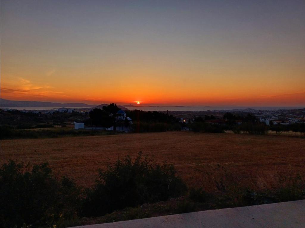 a sunset over a field with the sun setting at Terracotta Sunset Naxos in Galanádhon