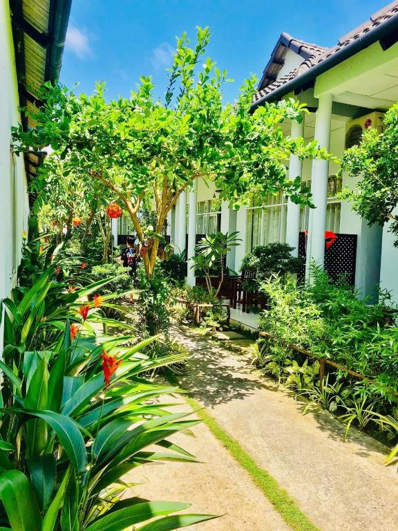 Vườn quanh Sunlight Bungalow