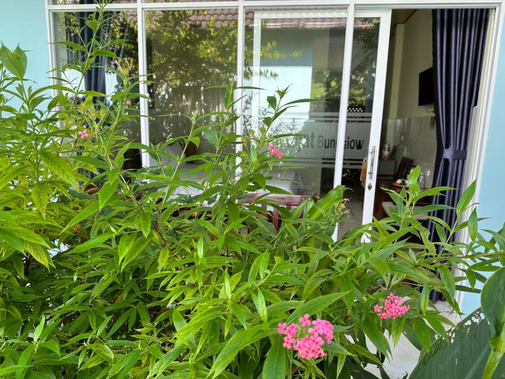 Sunlight Bungalow - 4