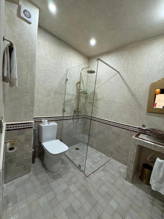 a bathroom with a shower and a toilet at Riad M'Barka in Tangier