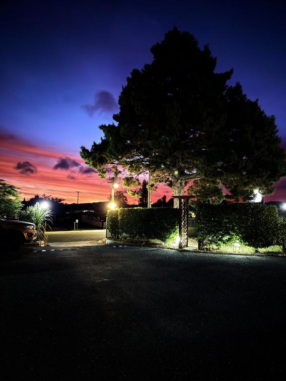 Camellia Court Family Motel - Resim 4