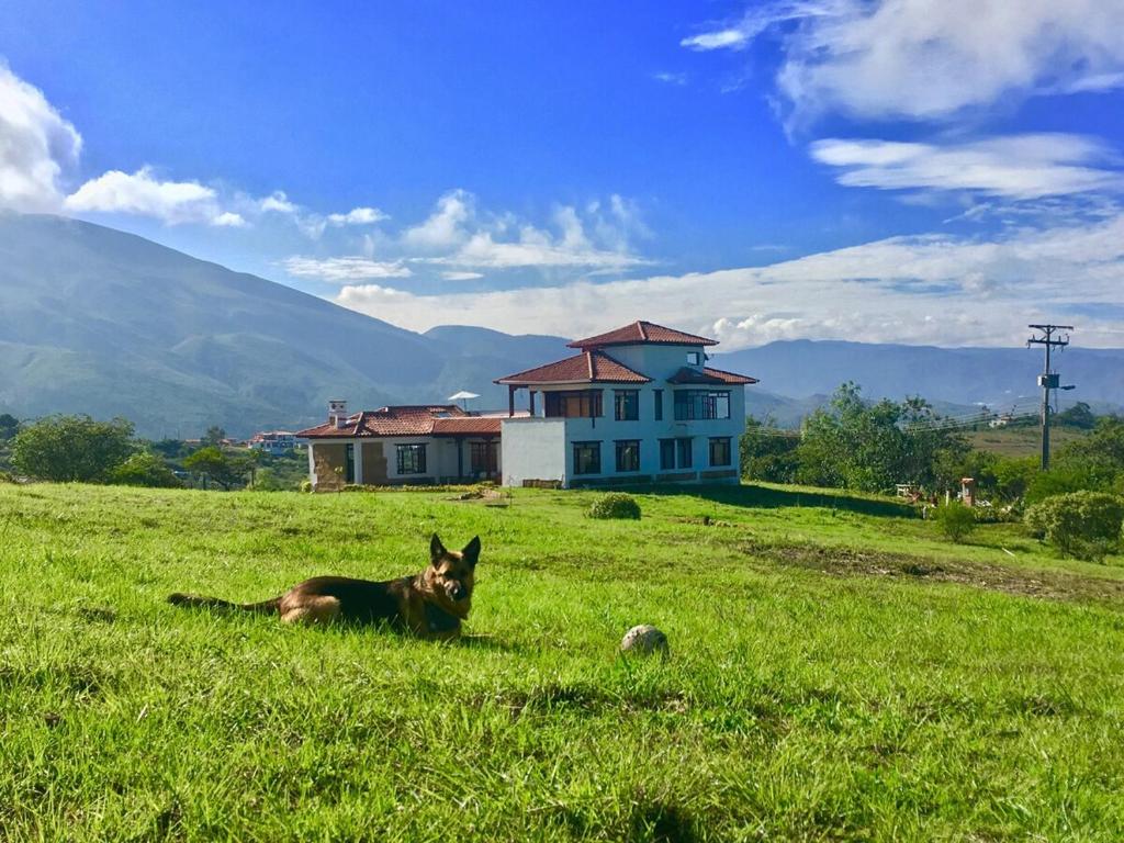ein Hund, der im Gras vor einem Haus liegt in der Unterkunft Casa Finca Los Arrayanes, spectacular views! in Villa de Leyva