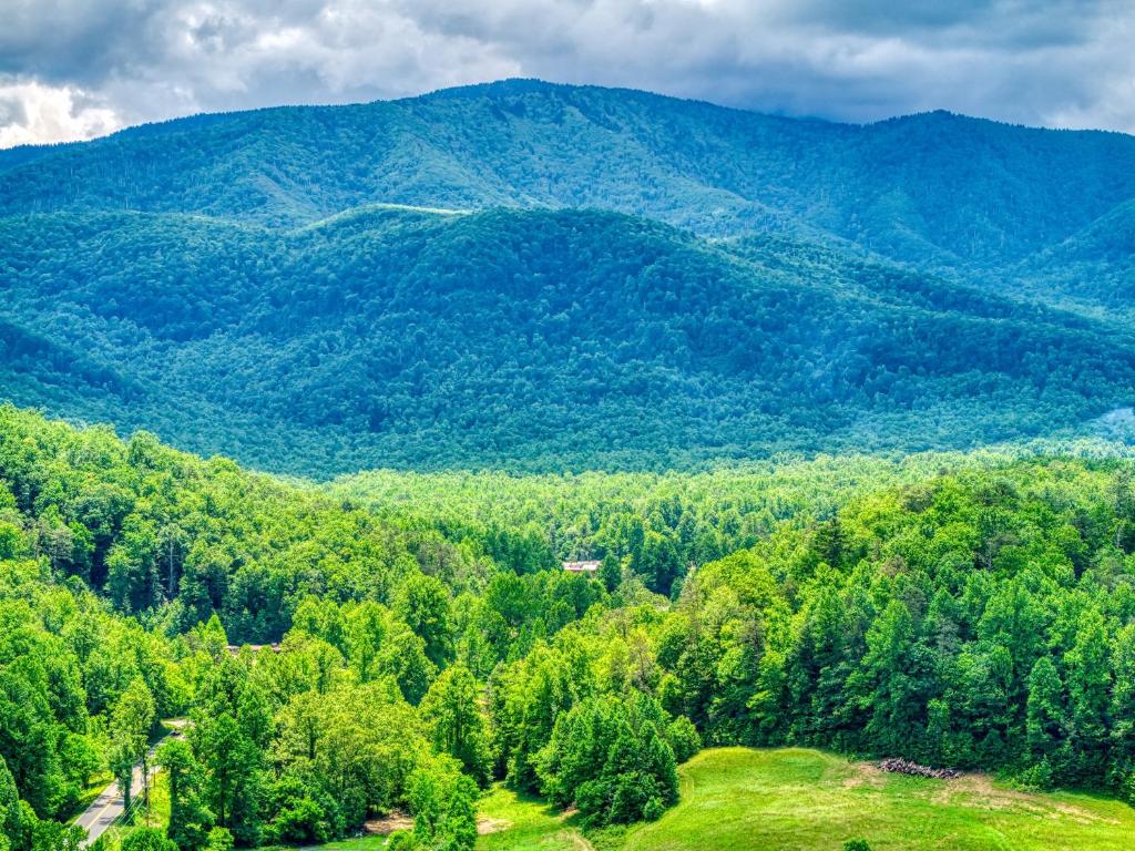 CosbyにあるOwners Cabin -Pickleball Court, Creek, WIFI, Mountain Views, Starting at 99の木々の山の空中