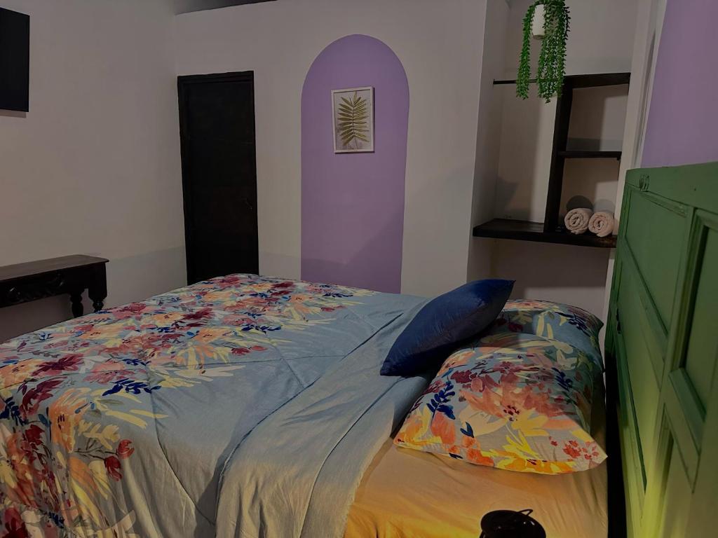 Donde Polo Hostal - Housity