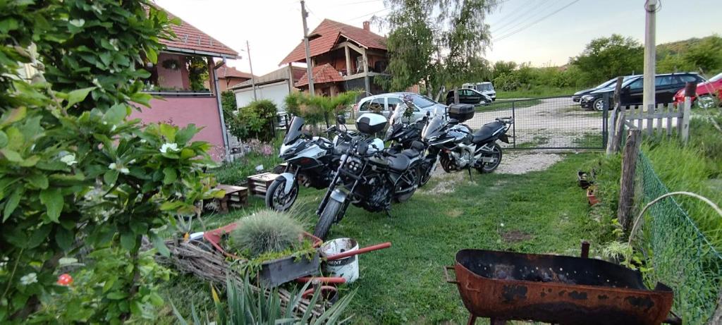Vrt pred nastanitvijo Stancic 019