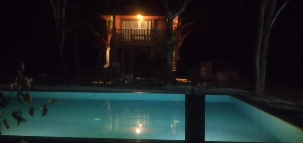 Bazén v ubytování Isanka Lion Lodge nebo v jeho okolí