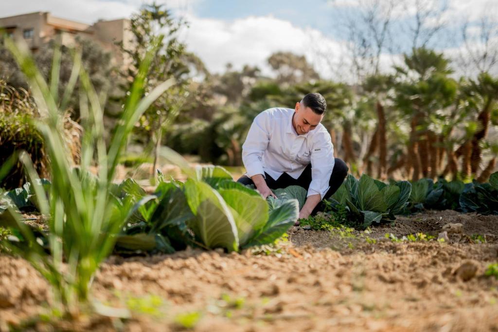 a man kneeling in a garden looking at plants at Kempinski Hotel San Lawrenz in San Lawrenz