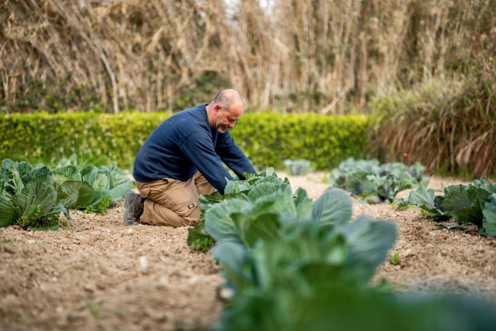 a man kneeling down in a vegetable garden at Kempinski Hotel San Lawrenz in San Lawrenz