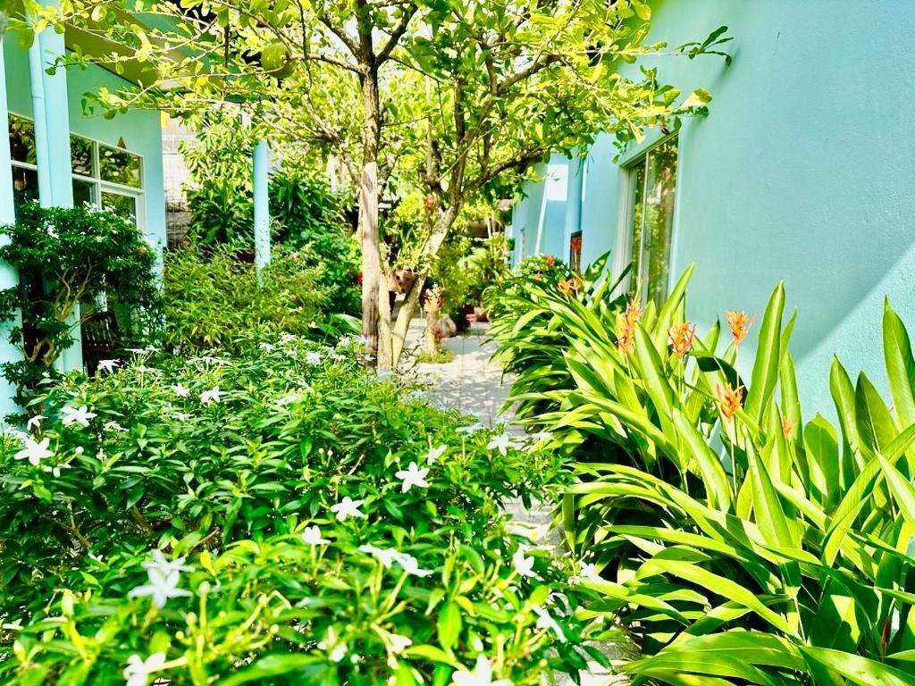 Sunlight Bungalow - 13