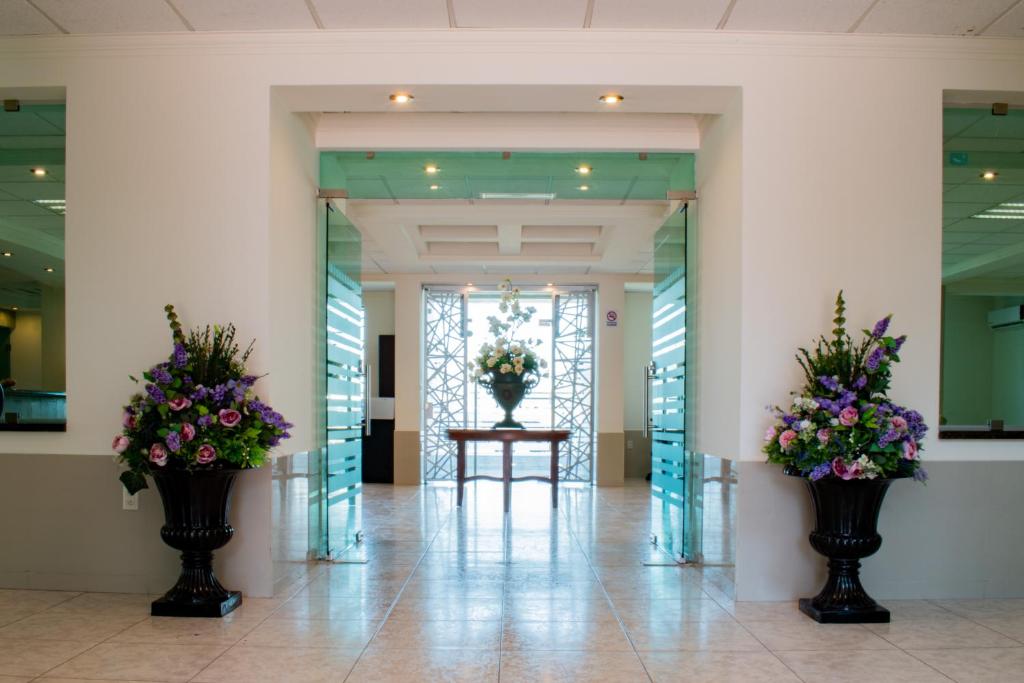 Vstupní hala nebo recepce v ubytování Hotel Aliana