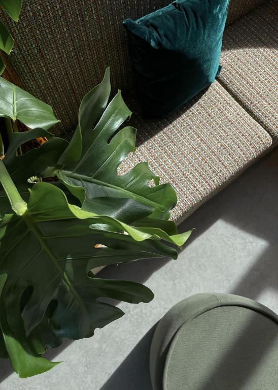 Cocoon Theresienwiese - Resim 17