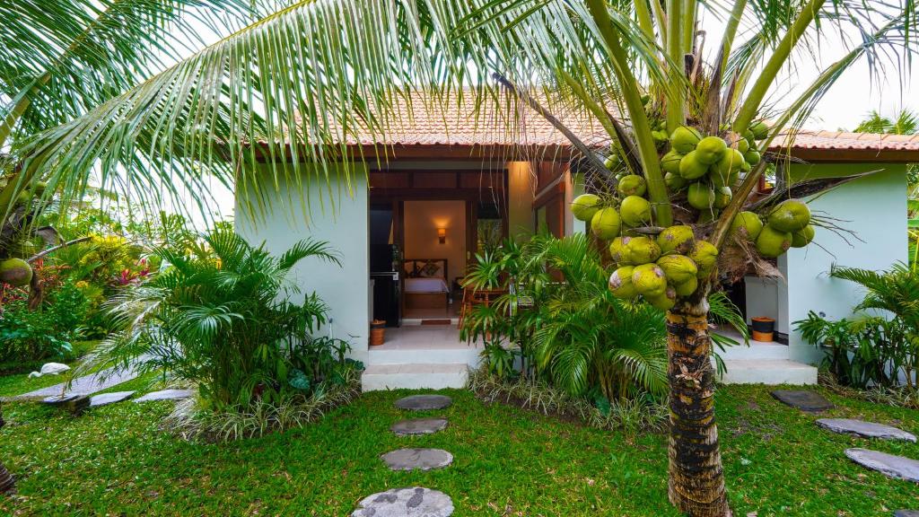 Green Coconut Cottage - 19