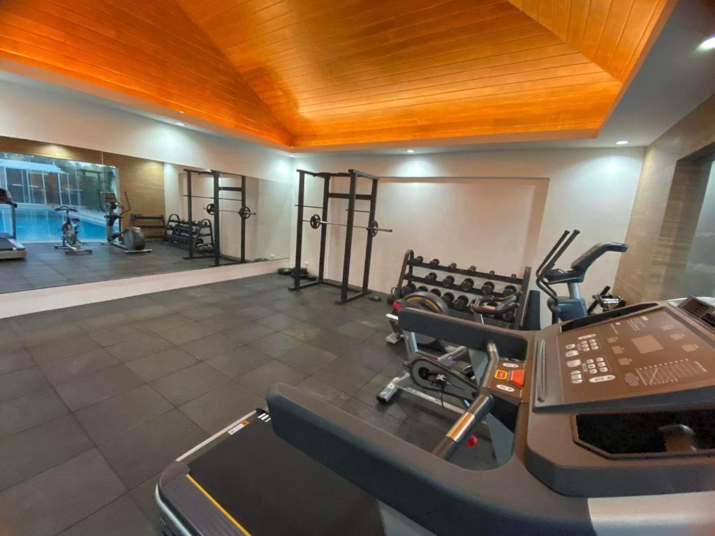Fitness centrum a/nebo fitness zařízení v ubytování Holiday Suites