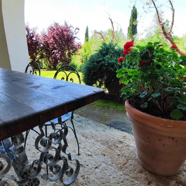 Zahrada ubytování Agriturismo Podere il Fornacino