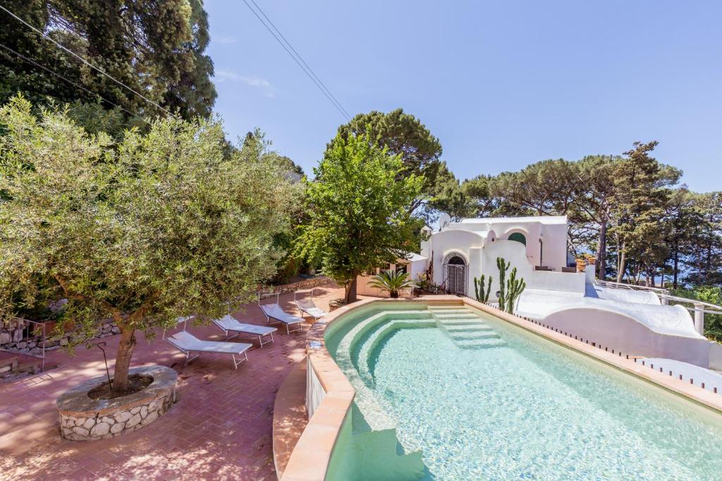 an image of a swimming pool with chairs and trees at La Perla Marina Suite in Capri