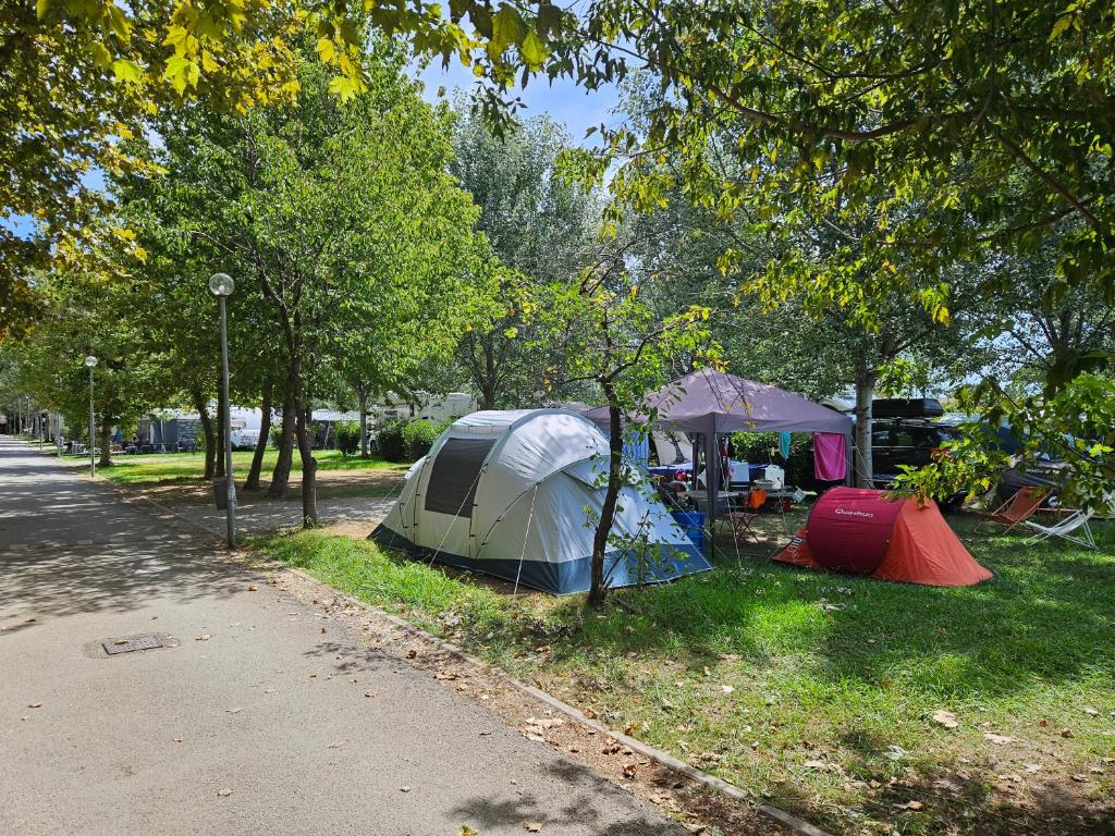 Zahrada ubytování Camping River