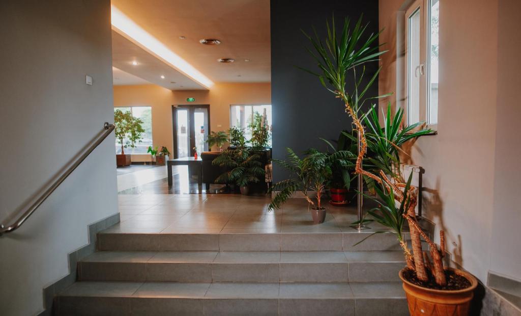 Fotografie z fotogalerie ubytování Hotel Concrete v destinaci Ungheni