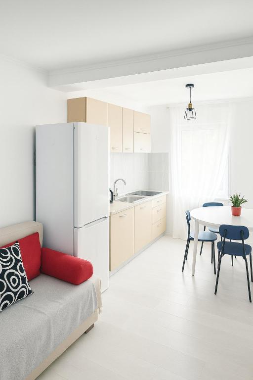 Kuchyň nebo kuchyňský kout v ubytování DD Apartments - Iuliu Moldovan