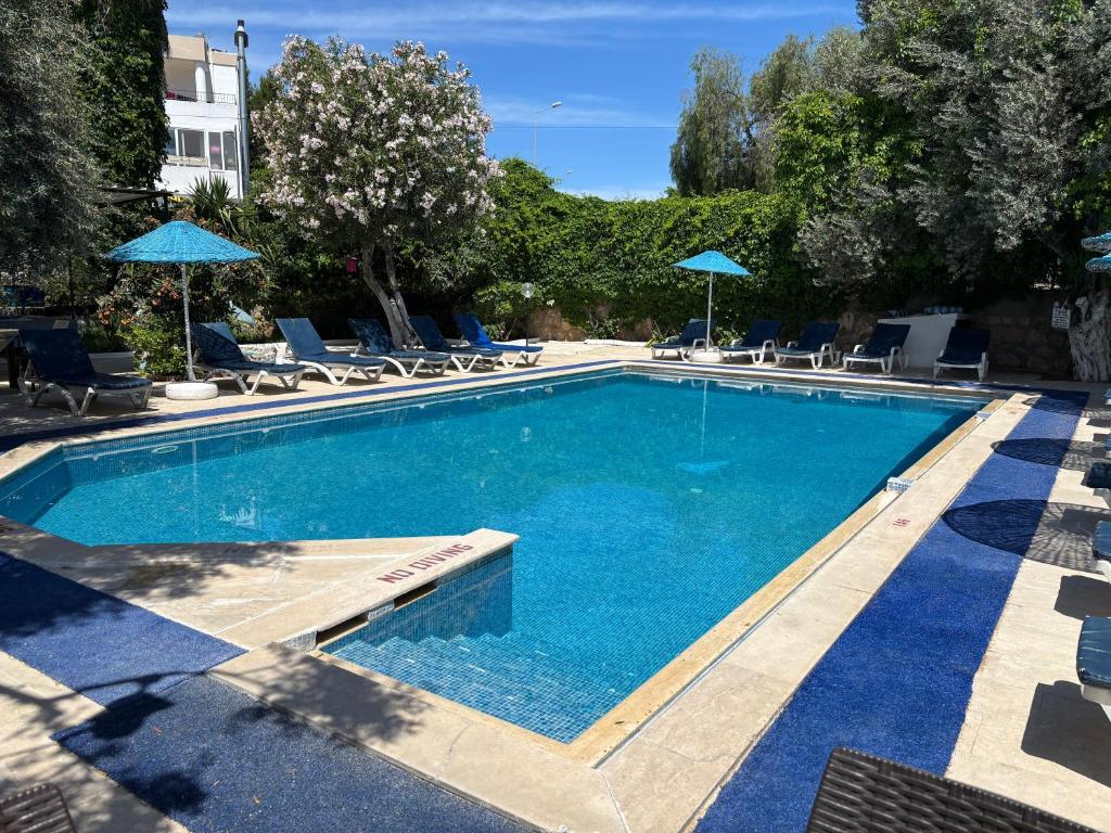 a large swimming pool with chairs and umbrellas at Ali Baba Hotel Gümbet in Gümbet