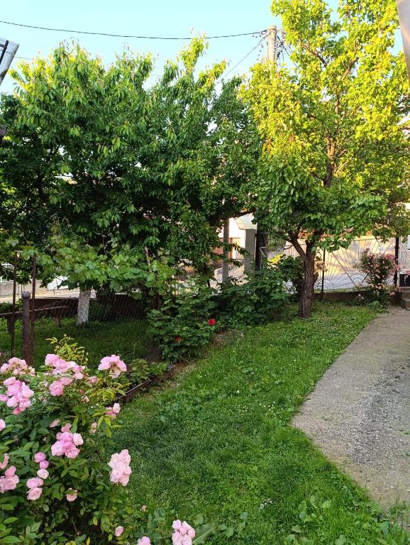 Zahrada ubytování Entire House 80m2