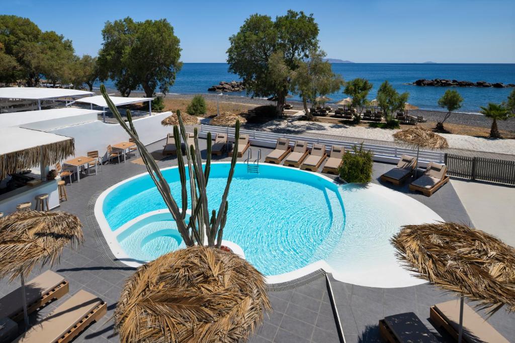 a swimming pool with a potted plant next to the ocean at Nissia Beach Apartments & Suites in Kamari