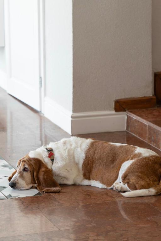 1552 Boutique Hotel - Resim 10