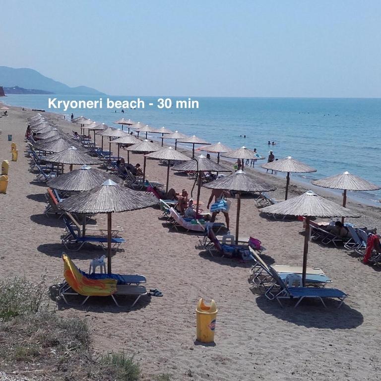 Příroda nedaleko apartmánu