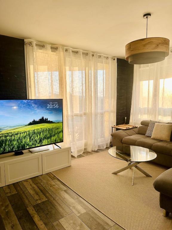 un salon avec une grande télévision à écran plat dans l'établissement Apartment Reims, à Reims