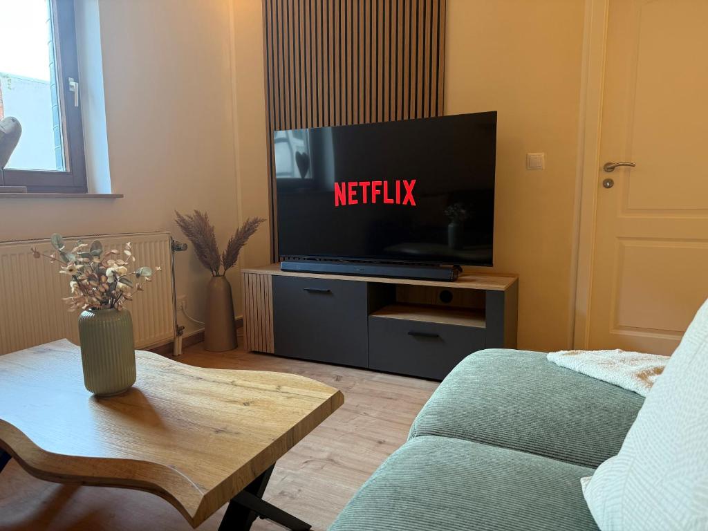a living room with a tv with the netflix sign on it at K38 Mühlgrabenblick by Selected Rooms in Eisenach