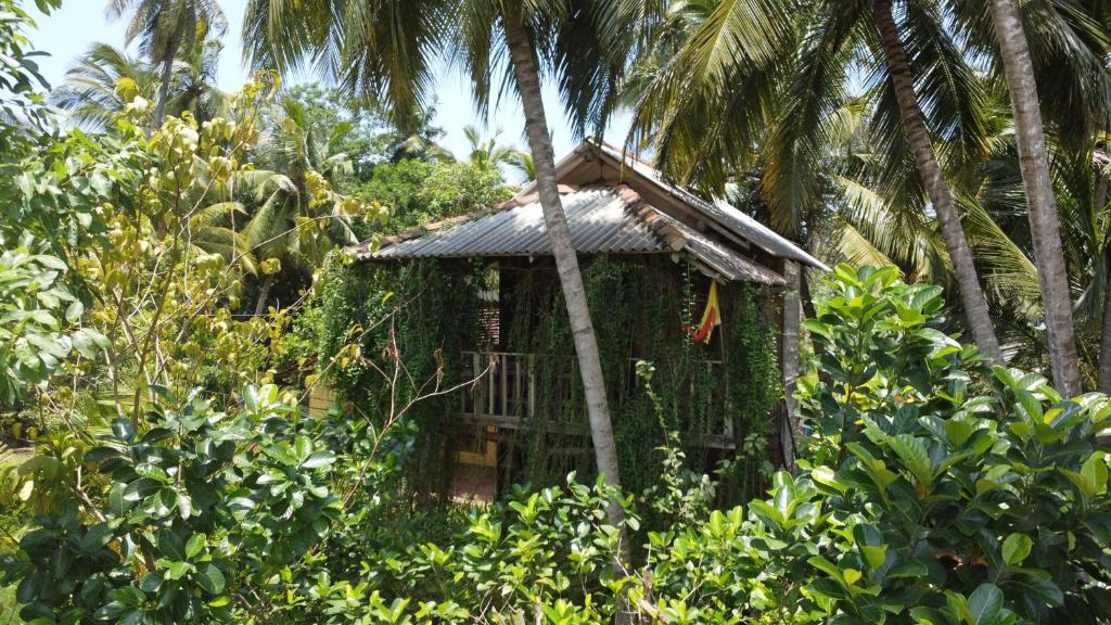 Imagen de la galería de Coconut Island Yala, en Tissamaharama